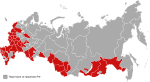 Президентские выборы в России (1996)