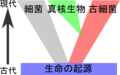 2018年10月14日 (日) 07:06時点における版のサムネイル