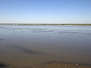 O rio Amu Dária perto de Beruni