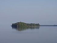 Rio Amazonas