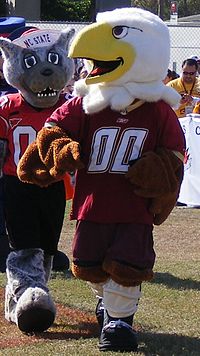 Baldwin the Eagle.jpg