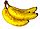 Bananes Cavendish.