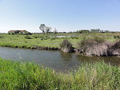 Marais de Braud-et-Saint-Louis, au nord.