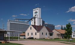 Residences and a grain elevator in Buffalo Lake, Minnesota