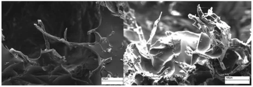 Figure 11: Open access scanning electron microscopy images of soybean oil and cellulose fiber foams.[18]