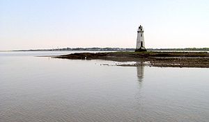 The Cockspur Lighthouse at the mouth of the Sa...