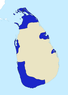 Description de l'image Dutch Ceylon.svg.