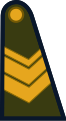 Sargento (Argentine Army)[23]