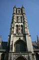 Katedrála sv. Bavona v Gentu