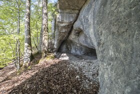 Image illustrative de l’article Grotte de Cotencher