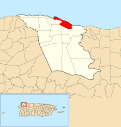 Location of Guayabos within the municipality of Isabela shown in red