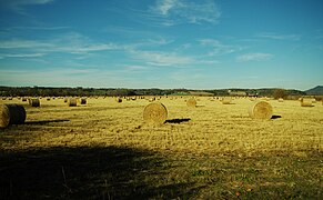 Hay bales in Tellico Plains