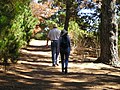 Trail in Jacks Peak Park