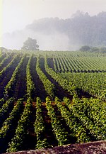 Vignette pour Bourgogne hautes-côtes-de-beaune