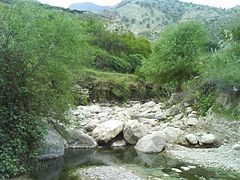 چشم‌اندازی زیبا در روستای نیمدور