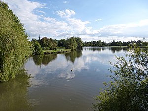 Bords de l'Erdre.