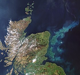 An oceanic phytoplankton bloom in the North Sea off the coast of eastern Scotland Phytoplankton bloom off the coast of Scotland.jpg