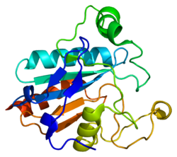 Protein GPX2 PDB 2he3.png