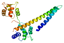 Протеин KCNN2 PDB 1g4y.png