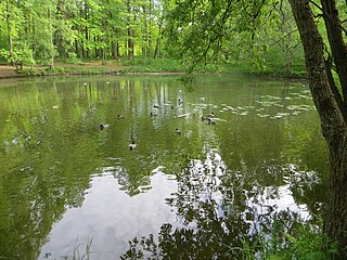 Пруд в северной части парка