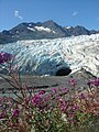 Prince William Sound, pandangan ke Shoup Glacier