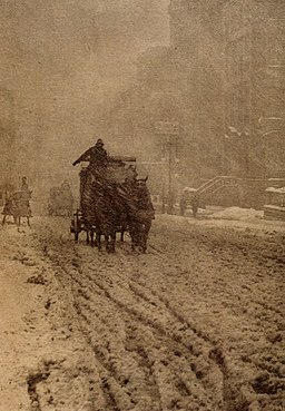 Stieglitz-Winter