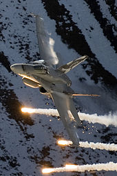 A Swiss Air Force F/A-18 Hornet at Axalp Air Show Switzerland - Air Force McDonnell Douglas FA-18C Hornet - cropped.jpg