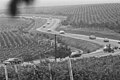 Nicolae Ceaușescu's motorcade in Soviet Moldova, 1976