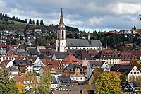 Titisee-Neustadt的天际线