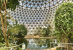 Купол тропической выставки, Ботанический сад Брисбена, гора Кут-та 08.jpg