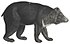 Ursus thibetanus - 1700-1880 - Print - Iconographia Zoologica - Special Collections University of Amsterdam -(white background).jpg