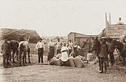 Молотьба в эстонской деревне Учкуй-Тархан. 1900—1910 гг.