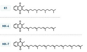 Vitamin K structures.jpg