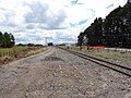 Southern end of the Waingawa railway station yard, bordering Norman Avenue.