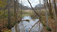 Weiher „Im Oberhorst“[1]