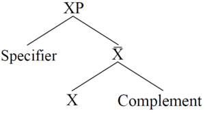 Figure 2 X-bar schema (wo adjunct).png