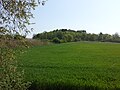 Der nördliche Hügel von Westen aus gesehen. Am Fuße des Hügels befindet sich ein Feuchtgebiet.