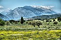 Μικρογραφία για την έκδοση της 07:15, 30 Μαΐου 2019