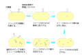 2015年1月7日 (水) 20:46時点における版のサムネイル