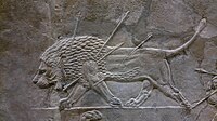 Un lion blessé, détail d'Assurbanipal à la chasse au lion sur un bas-relief de Ninive. Ce lion a reçu plusieurs flèches et perd du sang de sa bouche.