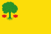 Flag of Montederramo