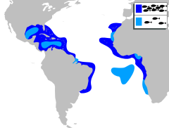 Distribuição geográfica do jaguareçá.