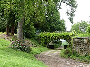 Petit pont dans le parc.