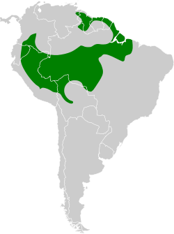 Distribución geográfica del trepatroncos gorgicanelo.