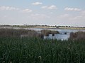 Dinnyési Fertő, im Hintergrund Börgönd mit Aquaglobus