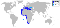 Distribución del sargo común