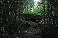 Zona arqueològica del dolmen de la Baldare