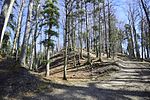 Gündisau / Schlossberg, mittelalterliche Burgstelle Wildberg