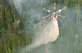 Intervention sur un feu de foret à Glenwood Springs dans le Colorado en 2002.