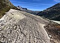 Gletscherschliff im Granit mit Trittschäden an der Flechtenvegetation